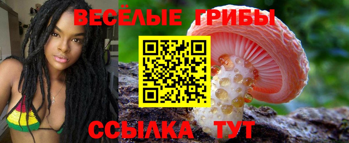 Галлюциногенные грибы MAGIC MUSHROOMS Щёлково